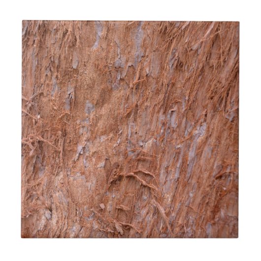 森の木の樹皮 タイル (正面)