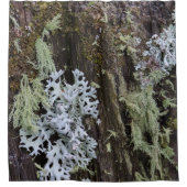 森の木の苔とキノコ シャワーカーテン (正面)