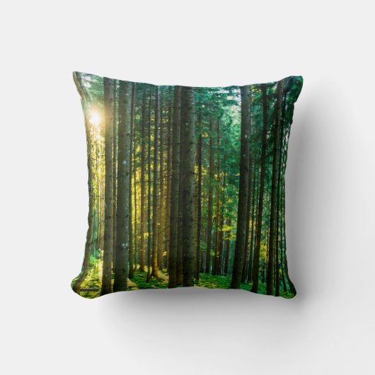 森の木の間の日光 クッション (正面)