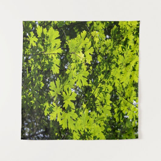 森の木漏れ日が照る葉 タペストリー (正面(横))