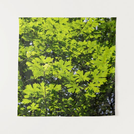 森の木漏れ日が照る葉 タペストリー (正面)