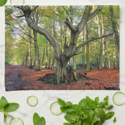 森の木 キッチンタオル (折り畳み)