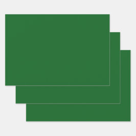 森の松の緑無地の色 ラッピングペーパーシート