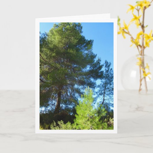 森の松 カード (黄色い花)