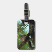 森の枝のアメリカフクロウ ラゲッジタグ (正面縦)