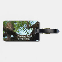 森の枝のアメリカフクロウ