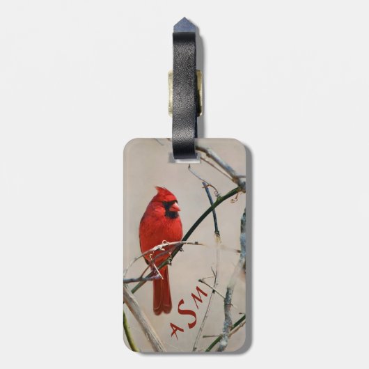森の枝の赤く基本的な鳥 ラゲッジタグ (裏面縦)