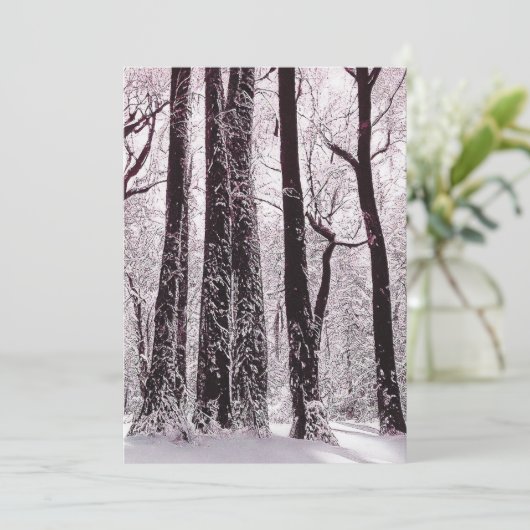 森の森の雪の冬の風景 シーズンカード (スタンド正面)