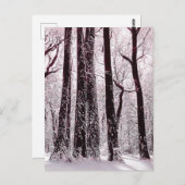 森の森の雪の冬の風景 ポストカード (正面/裏面)