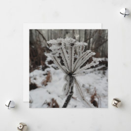 森の植物に冬の霜 シーズンカード