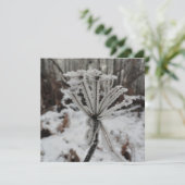 森の植物に冬の霜 シーズンカード (スタンド正面)