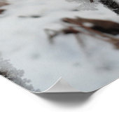 森の植物に冬の霜 ポスター (角)