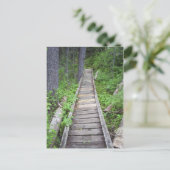 森の橋 ポストカード (スタンド正面)