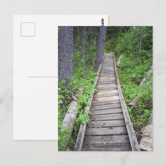 森の橋 ポストカード (正面/裏面)