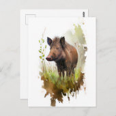 森の水彩野猪クリア|過去記事 ポストカード (正面/裏面)