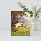 森の池の近くの赤と白の鹿のポストカード ポストカード (スタンド正面)