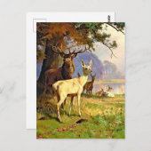 森の池の近くの赤と白の鹿のポストカード ポストカード (正面/裏面)