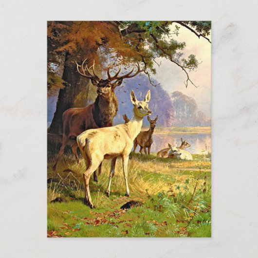 森の池の近くの赤と白の鹿のポストカード ポストカード (正面)