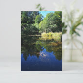 森の池 カード (スタンド正面)