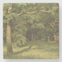 森の浄化（森林景観のシーン）