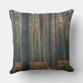 森の滝と松林 クッション (裏面)