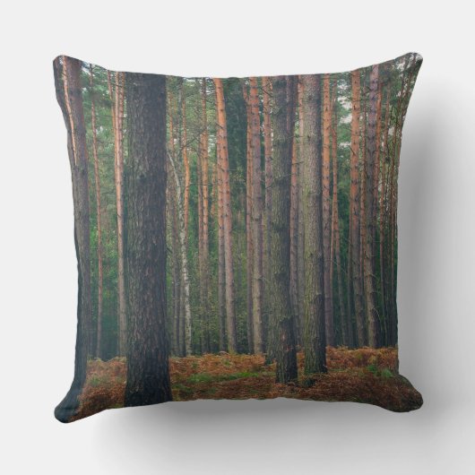 森の滝と松林 クッション (裏面)