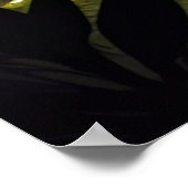 森の滝魅力的滝 ポスター (角)