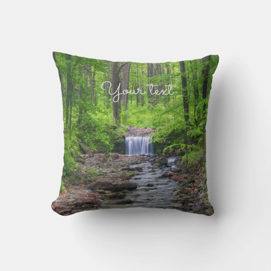 森の滝 クッション (正面)