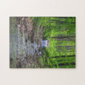 森の滝 ジグソーパズル (横)