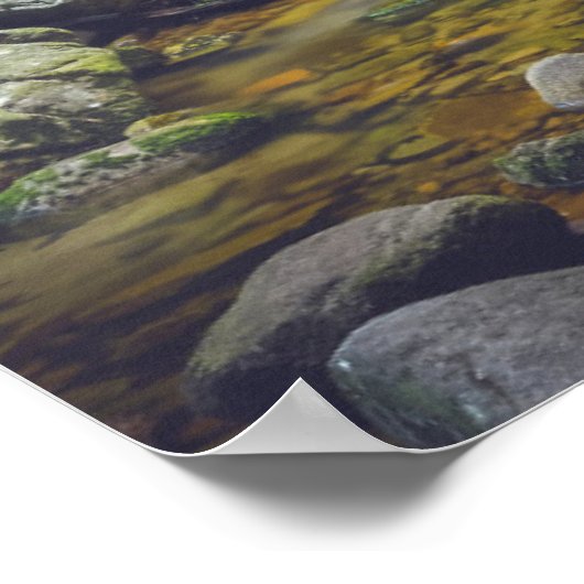 森の滝 ポスター (角)