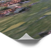 森の滝 ポスター (角)