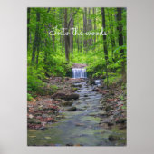 森の滝 ポスター (正面)
