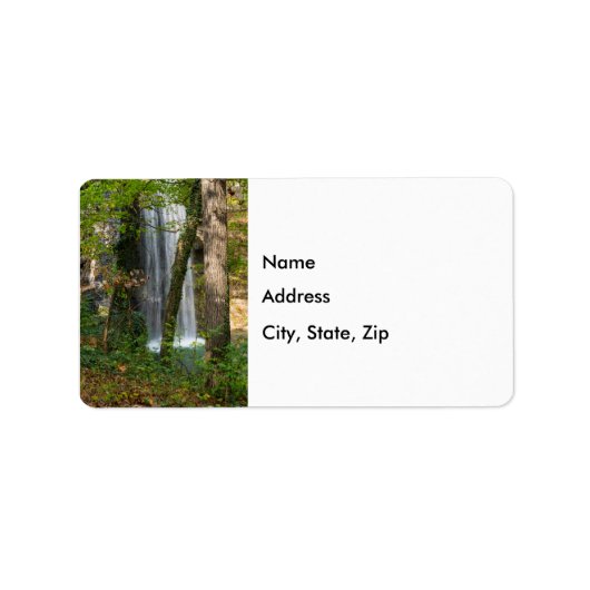 森の滝 ラベル (正面)