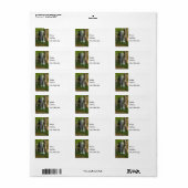 森の滝 ラベル (フルシート)