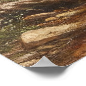 森の滝 – George Hetzel ポスター (角)