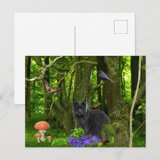 森の灰色の猫 ポストカード (正面/裏面)