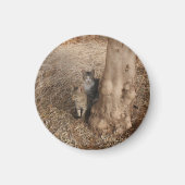 森の猫 マグネット (正面)