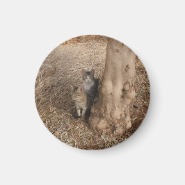 森の猫 マグネット