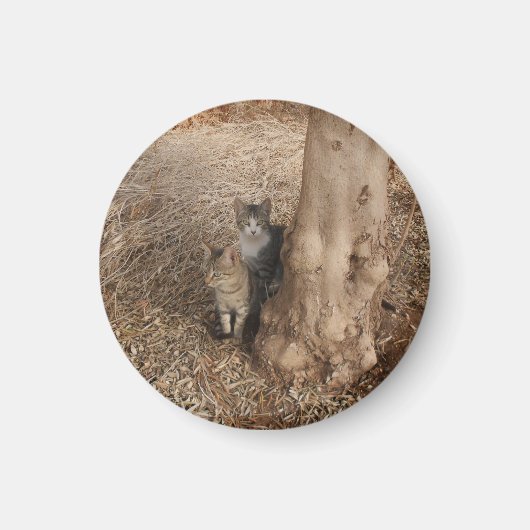 森の猫 マグネット (正面)