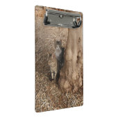 森の猫 ミニクリップボード (アングル)