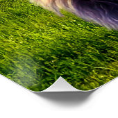 森の王ライオン ポスター (コーナー)