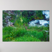 森の王子 ポスター (正面)