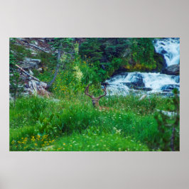 森の王子 ポスター