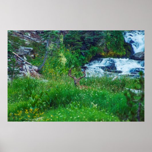 森の王子 ポスター (正面)