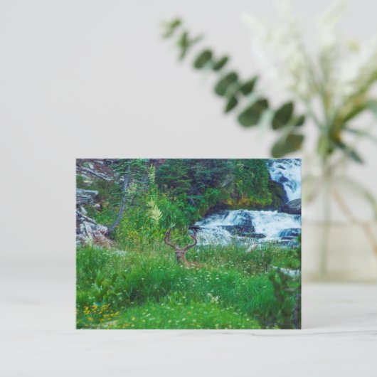 森の王子 ポストカード (スタンド正面)