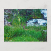 森の王子 ポストカード (正面)