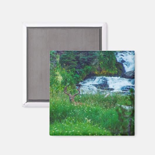 森の王子 マグネット (正面/裏面)