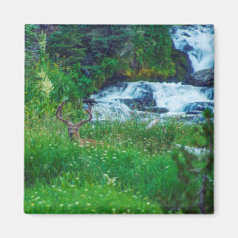 森の王子 マグネット