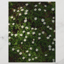 森の白い春の花 スクラップブックペーパー