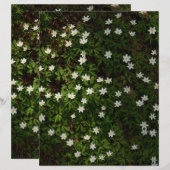 森の白い春の花 スクラップブックペーパー (正面/裏面)